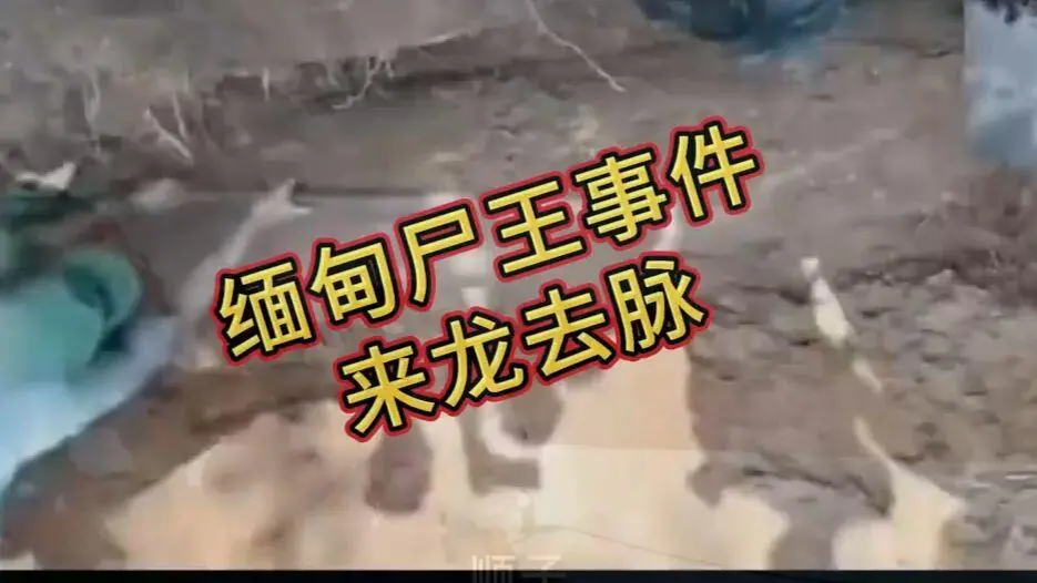 在线观看《缅甸僵尸出土事件视频》完整版资源 - 缅北僵尸出土事件始末原视频高清下载 超清未删减全程录像 免费播放